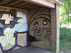 Edgbaston Reservoir - hut with graffiti - Carpe Diem